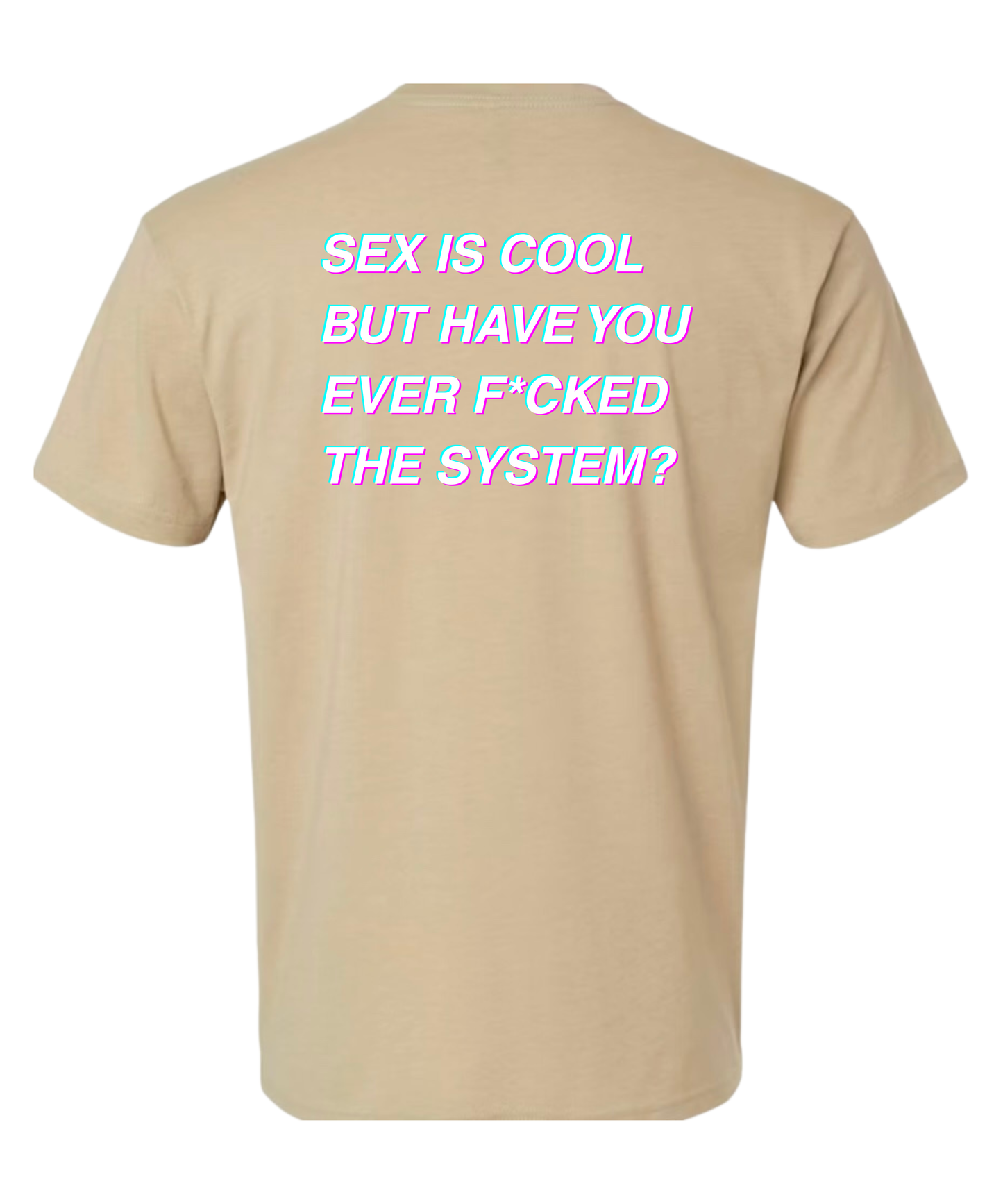 THE SYSTEM