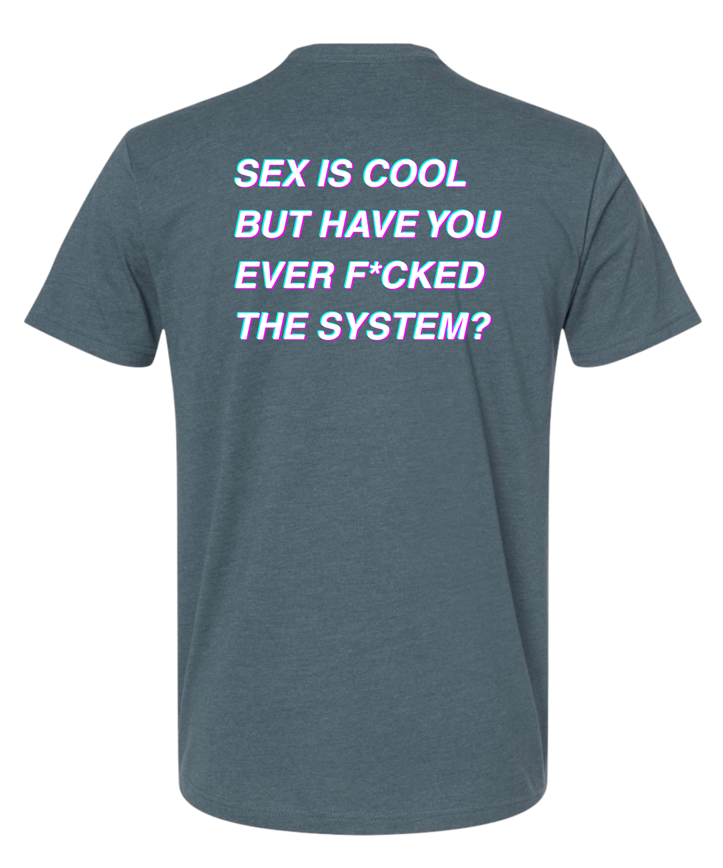 THE SYSTEM