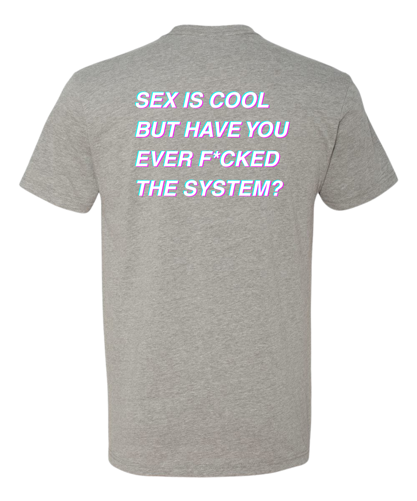THE SYSTEM