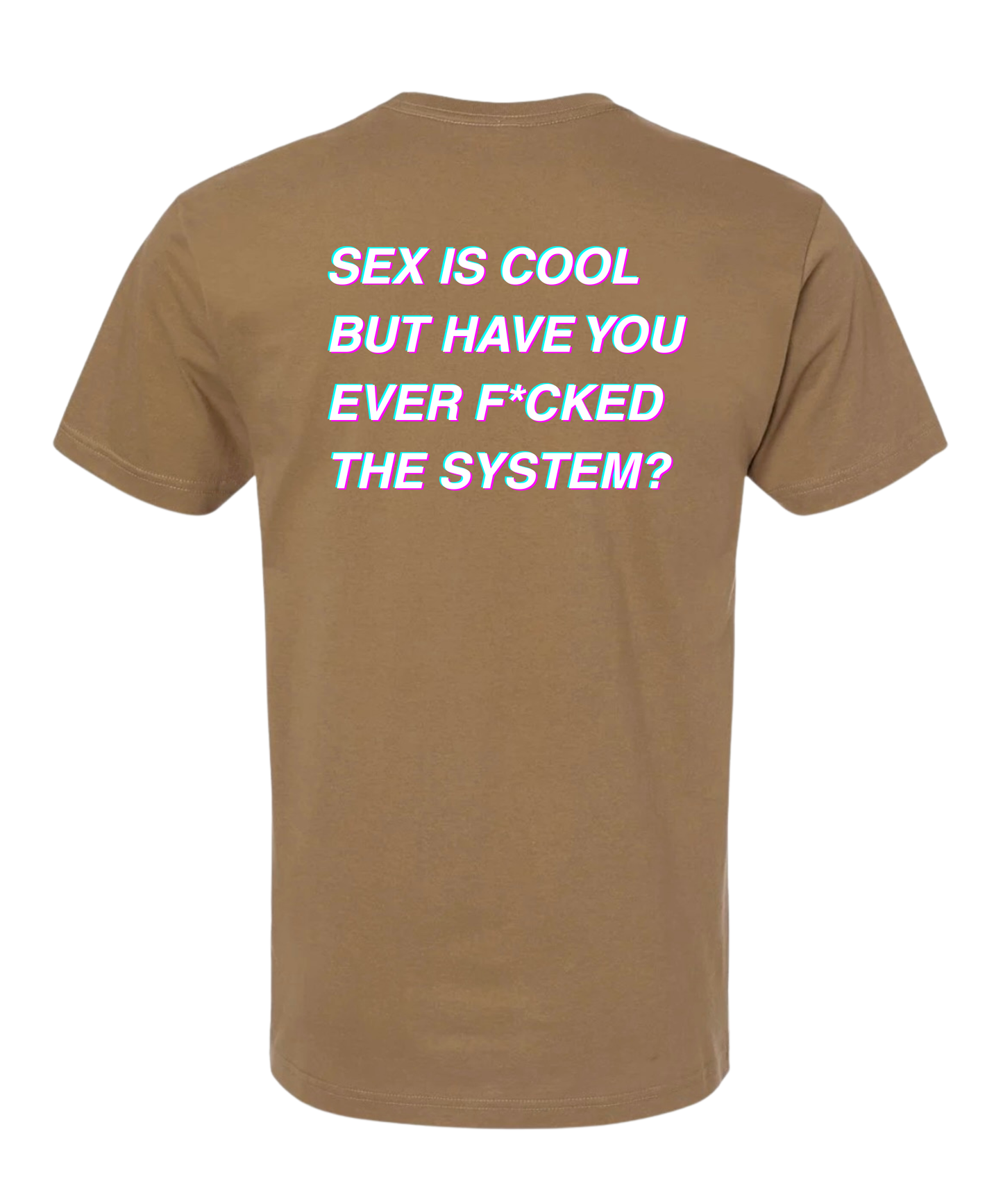 THE SYSTEM