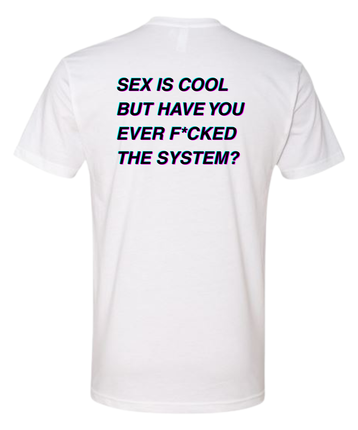 THE SYSTEM