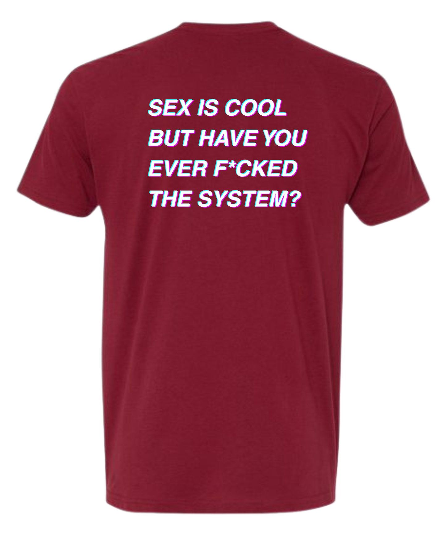 THE SYSTEM