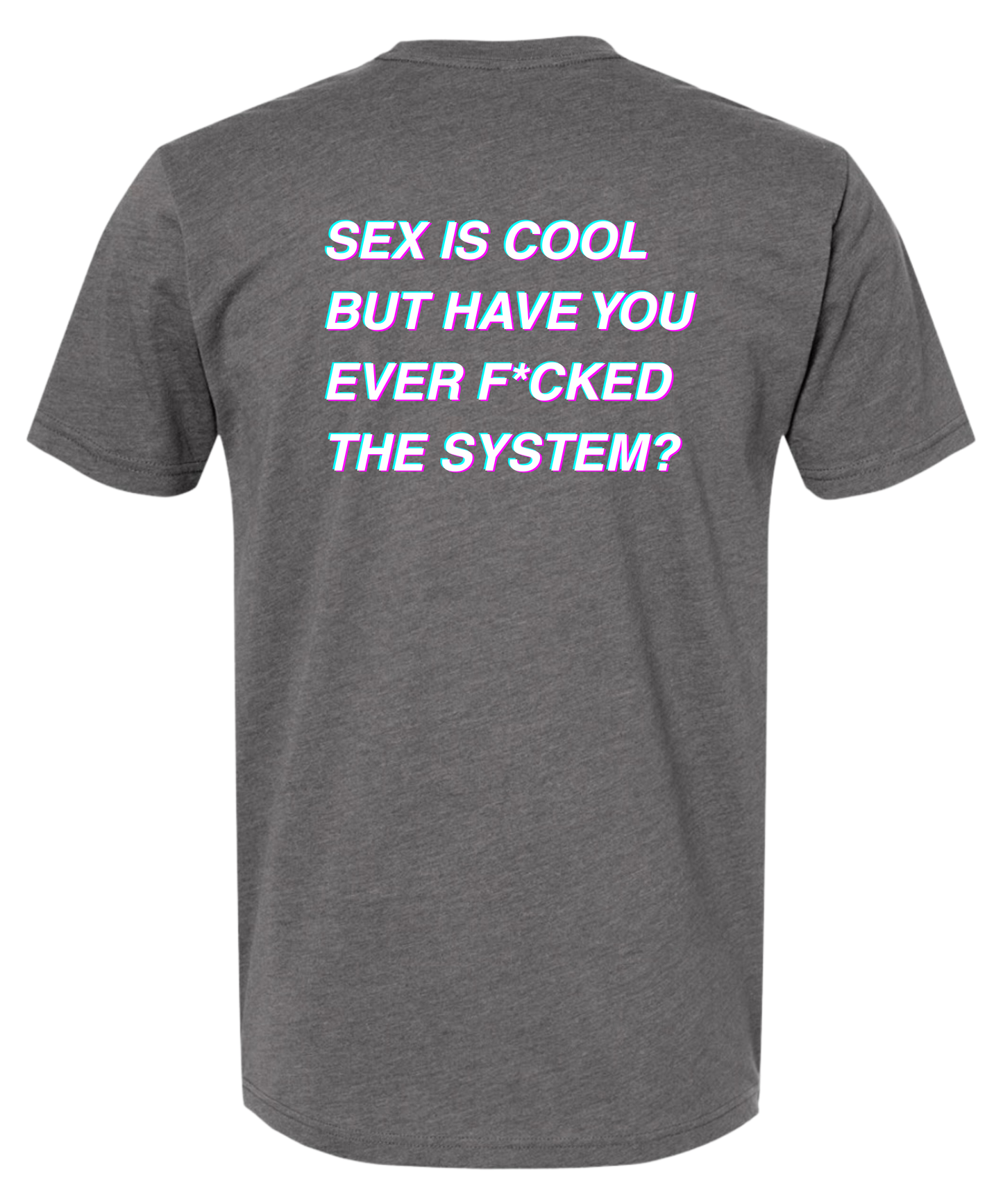THE SYSTEM